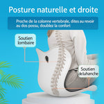 Load image into Gallery viewer, Le coussin de posture-ErgoZen™