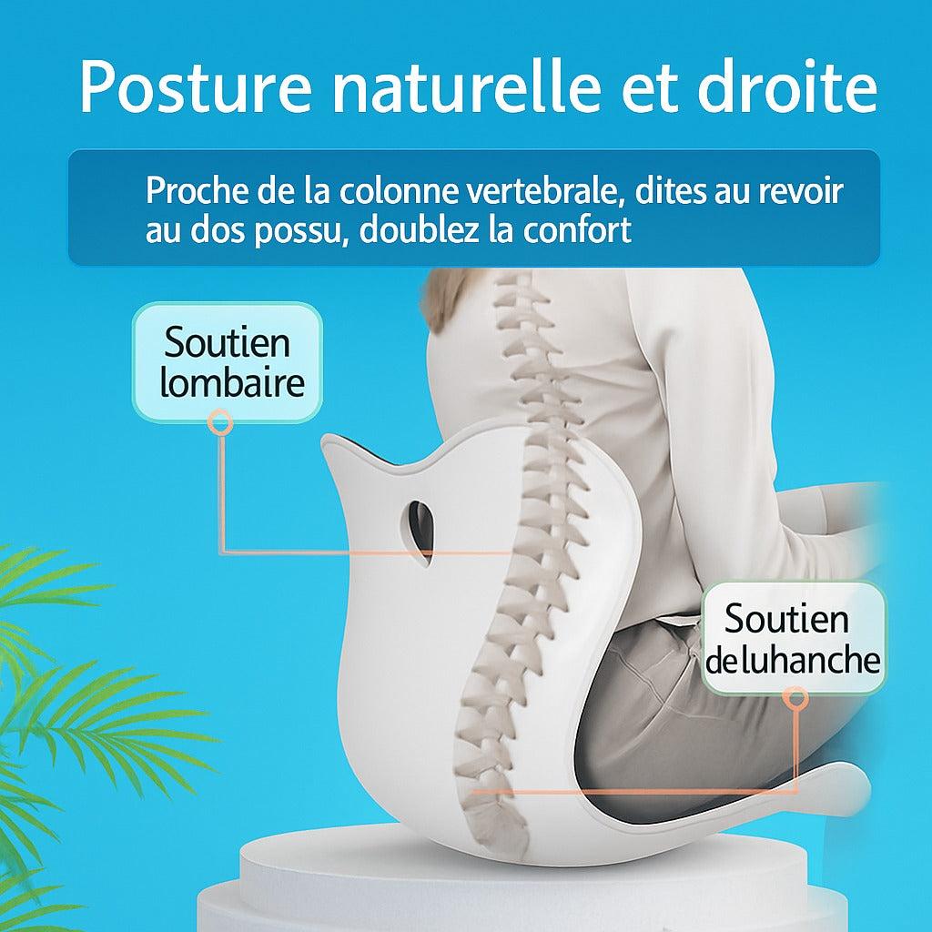 Le coussin de posture-ErgoZen™
