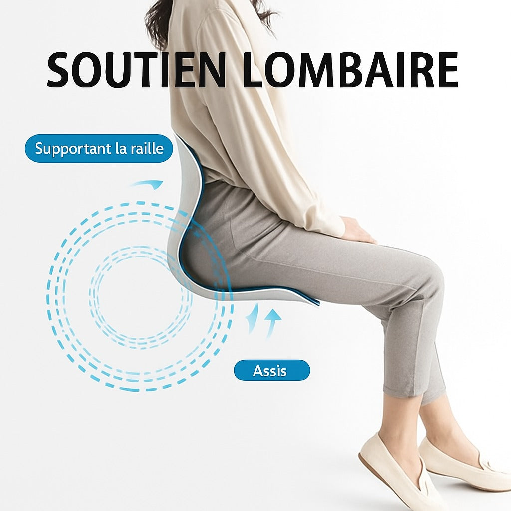 Le coussin de posture-ErgoZen™